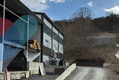 Hala industriala Cluj-Napoca, Tetarom I-1.945 mp sau 1.079 mp-vanzare - 3