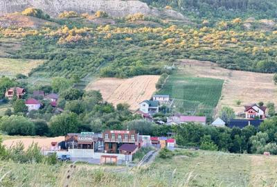 Teren extravilan in zona Dealul Fanatelor-Clyde Town - 2