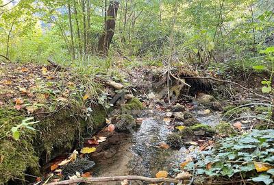 Teren pentru casa de vacanta pe Valea Bratcutei, Bihor - 11