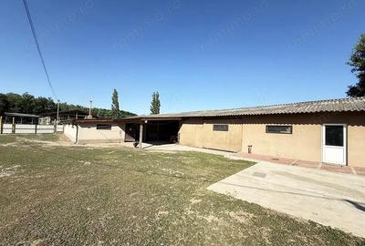 Catun Ferma autorizata Tip A pentru cresterea porcilor - IMOBIHOR - 3