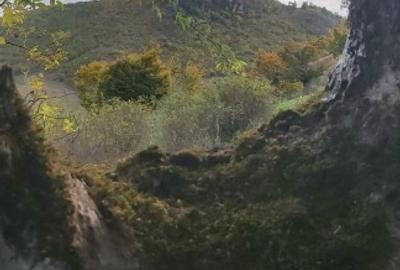 Teren extravilan de 10000 mp, în Valea Mare-Pravăț - 8