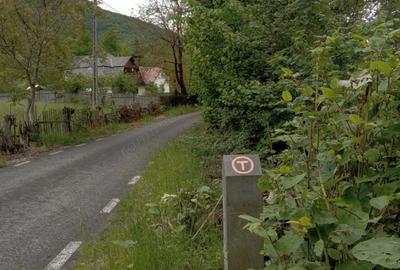 Casă cu 6 camere în Zimți - 1