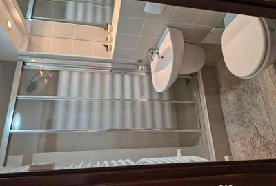 Apartament cu 4 camere decomandat în Decebal - 9