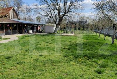 Casa P+E+M cu 4 camere, 250 mp si 3000 mp teren, zona Arcani - 8