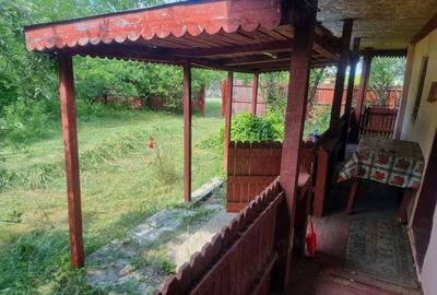 Casă cu 3 camere în Făgețelu - 7