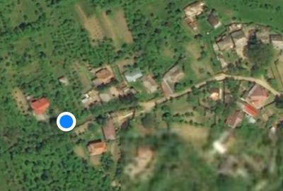 Casă cu 3 camere cu Teren 3000 Mp în Gorganu - 9