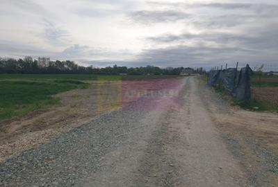 Teren Construcții intravilan de 7567 mp, în Sud - 13