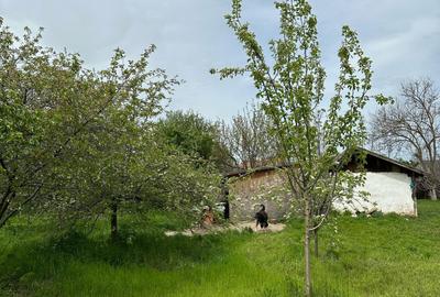 Teren de 2274 mp, în Bora - 1