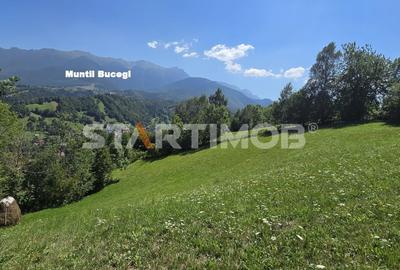 Teren extravilan Bran Podul Simonului - 14