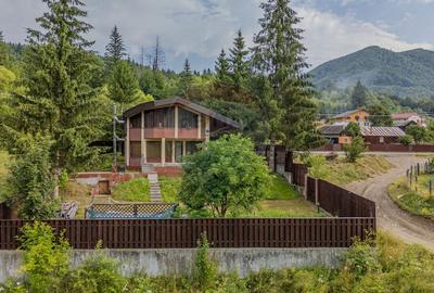 Casa de vacanta sau investitie turistica in Gresu - langa Lepsa - 18
