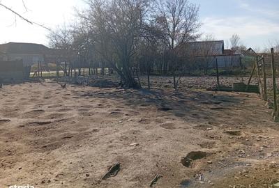 Casă cu 4 camere cu Teren 1400 Mp în Bârsa - 7