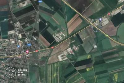 Teren extravilan, 10.000 mp, Pecica