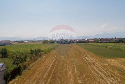 Comision 0 %! Teren intravilan de vanzare, Harman! - 5