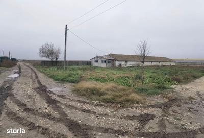 Teren de 4469 mp, în Topraisar - 2