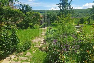 Casa Saseasca de vanzare in Somartin / Comision O % - 17