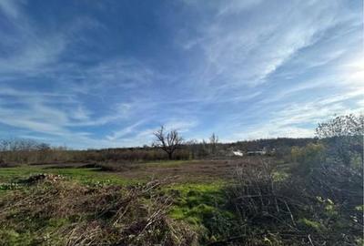 Spațiu comercial, în Cosâmbești - 3