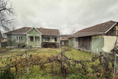 Teren 3000 mp + 2 case de vanzare-Ca?eiu - 22