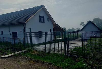Casă cu 6 camere cu Teren 1800 Mp în Dudeștii Noi - 13