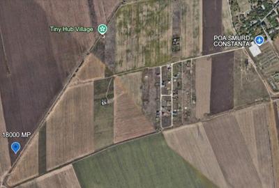 Teren de 18000 mp, în Vest - 4