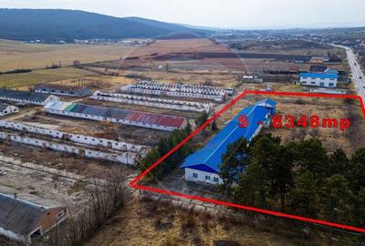 Spațiu industrial, de 800 mp, în Traian - 3