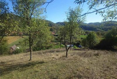 Teren de 1274 mp, în Criș - 2