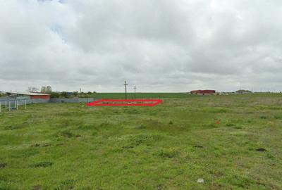 Constanta - Techirghiol - vis a vis de depozit DEDEMAN - teren 325mp Constanta - Techirghiol - vis a vis de depozit DEDEMAN - teren 325mp - 5