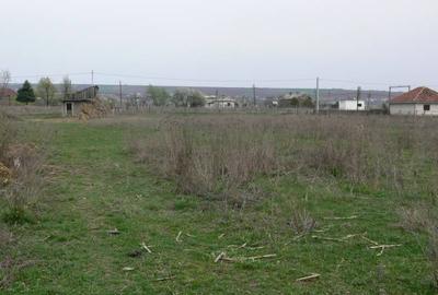 Teren Construcții intravilan de 6170 mp, în Negrești - 3