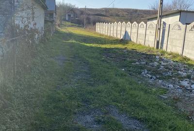 Casă cu 3 camere în Criș - 4