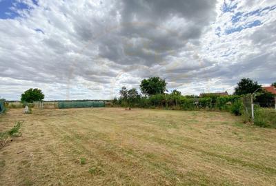 Teren intravilan 1412 mp, Ciofliceni – Ilfov - 3