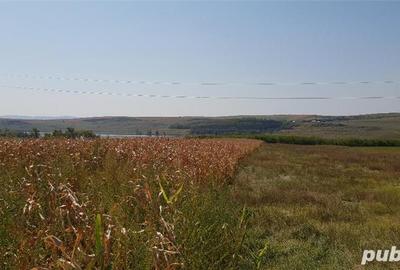 Teren de 5500 mp, în Central - 1