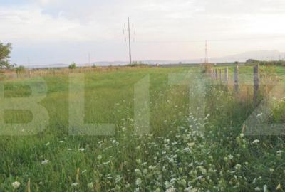 Teren intravilan 6000 mp cu 2 fronturi, parcelabil - 1