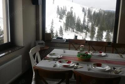 Vanzare proprietate mobilata ?i utilata, situata in sta?iunea montana Ranca - 7