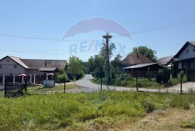 Casă individuală cu 3 camere cu Teren 3700 Mp în Arieșu de Pădure - 8