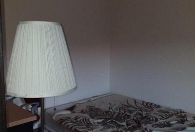 Casa individuala cu 5 camere de vanzare in Sag - ID V155 - 17