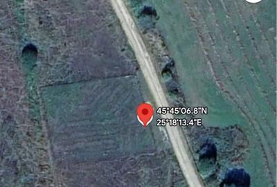 Spațiu comercial, în Vlădeni - 4