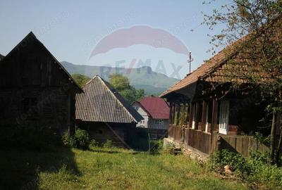 Casă cu 2 camere cu Teren 2447 Mp în Hoteni - 8