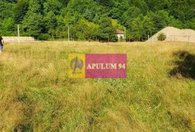 Teren de 744 mp, în Periferie - 4