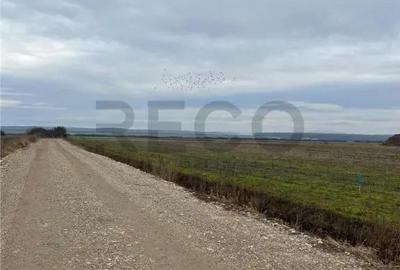 Teren de 550 mp, în Oșorhei - 2
