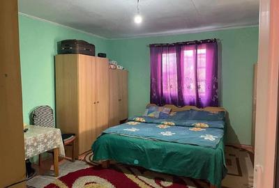 Casă cu Teren 2500 Mp în Homorog - 3