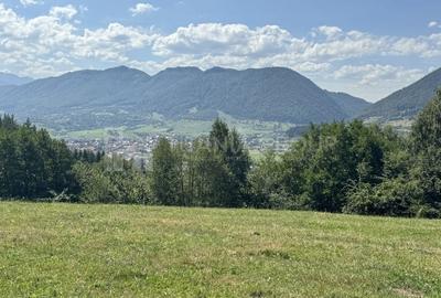 Platou montan, 6631 mp intravilan, electricitate,  langa pădure