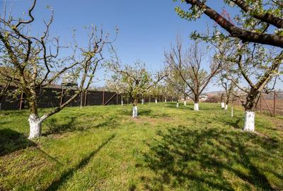 COMISION 0% Casa cu 4 camere 1400 mp teren in Micesti str Toplitei - 6