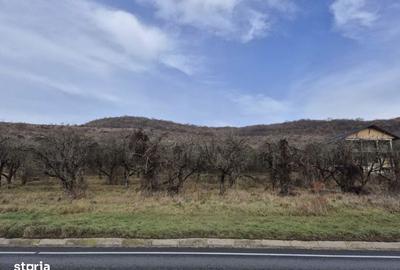 Teren de 9880 mp, în Baciu