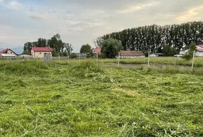 Teren Construcții intravilan de 860 mp, în Sânpetru - 3