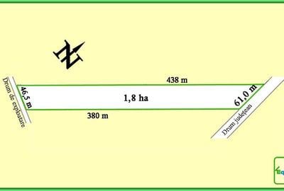 Teren Construcții intravilan de 18000 mp, în Cocorăștii Colț - 3