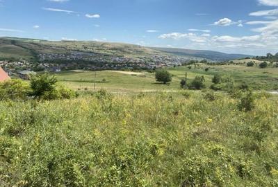 Vanzare teren intravilan, 700 mp., Chinteni - 4