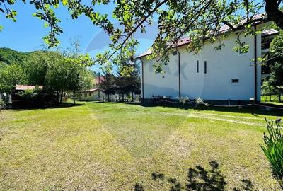 Pensiune + Vila pe malul raului Lotru-Malaia,Valcea - 2