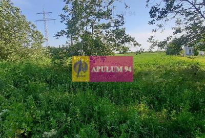 Teren Construcții intravilan de 5000 mp, în Copăceni - 5