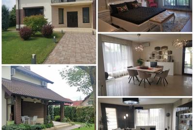 Casa/vila P+1+M , STEFANESTI, teren 749 mp, finisaje superioare, mobilata - 39