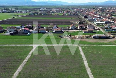 Teren Construcții intravilan de 447 mp, în Hălchiu - 15