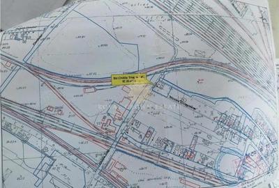 Casa individuala, curte proprie | Giulesti - Chitila Triaj | 720 mp - 4